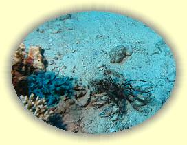 20100916_013 * 2374 x 1780 * (3.24MB)