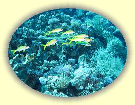 20100916_015 * 2362 x 1770 * (3.4MB)