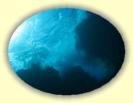 20100916_020 * 3072 x 2304 * (2.22MB)