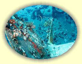 20100916_021 * 3072 x 2304 * (3.69MB)