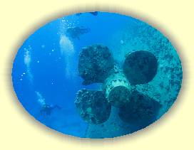 20100916_022 * 2927 x 2195 * (3.48MB)