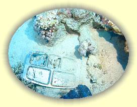 20100916_026 * 2435 x 1828 * (3.54MB)