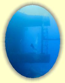 20100916_030 * 3072 x 2304 * (1.87MB)