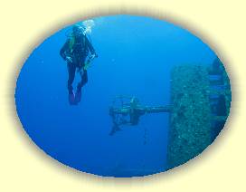 20100916_036 * 3072 x 2304 * (2.25MB)