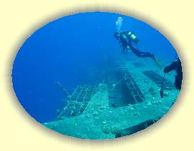 20100916_040 * 3072 x 2304 * (2.46MB)