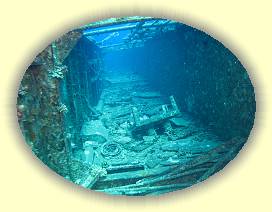 20100916_042 * 2879 x 2160 * (3.93MB)