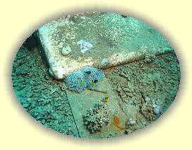 20100916_045 * 3072 x 2304 * (4.3MB)