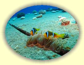 20100916_049 * 2499 x 1869 * (2.98MB)