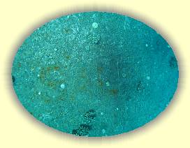 20100916_050 * 3072 x 2304 * (4.16MB)