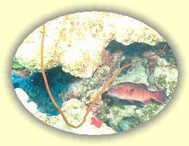 20100916_052 * 2310 x 1732 * (2.87MB)