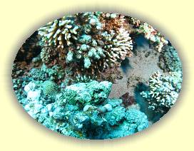 20100916_053 * 2640 x 1981 * (3.96MB)