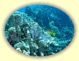 20100916_056 * 2425 x 1818 * (3.03MB)