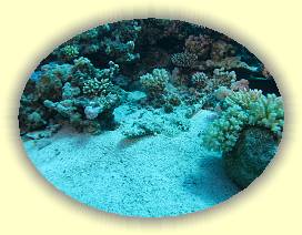 20100916_059 * 3072 x 2304 * (3.96MB)