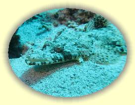 20100916_060 * 2413 x 1815 * (2.84MB)