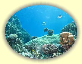 20100916_064 * 2777 x 2084 * (3.56MB)