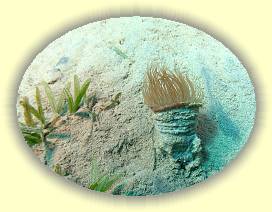 20100917_001 * 2143 x 1608 * (2.77MB)