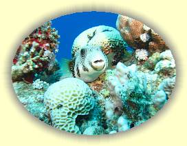 20100917_005 * 3072 x 2304 * (3.12MB)