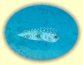 20100917_006 * 1988 x 1492 * (1.71MB)