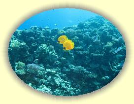 20100917_008 * 2528 x 1895 * (3.31MB)