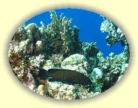 20100917_012 * 1905 x 1438 * (2.28MB)