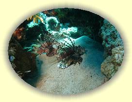 20100917_014 * 2588 x 1937 * (3.52MB)