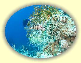 20100917_016 * 2662 x 1997 * (3.77MB)