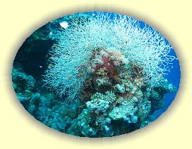 20100917_017 * 2857 x 2144 * (4.32MB)