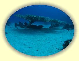 20100917_018 * 2844 x 2128 * (3.6MB)