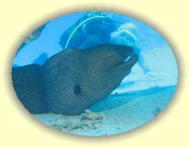 20100917_019 * 3072 x 2304 * (3.19MB)