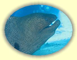 20100917_020 * 3072 x 2304 * (3.48MB)