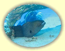 20100917_021 * 3072 x 2304 * (3.56MB)