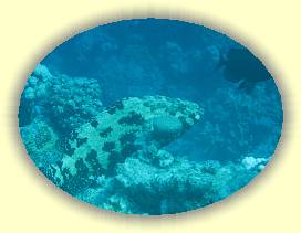 20100917_024 * 2250 x 1684 * (2.16MB)