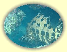 20100917_025 * 2199 x 1646 * (2.61MB)