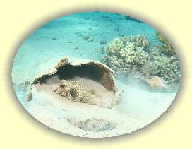 20100917_029 * 2250 x 1687 * (2.72MB)