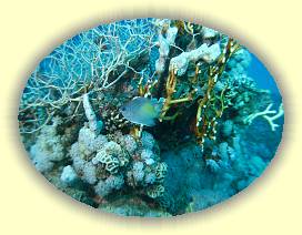 20100917_033 * 3072 x 2304 * (3.28MB)