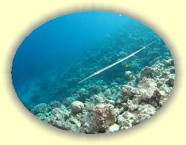 20100917_036 * 3072 x 2304 * (3.12MB)