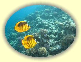 20100917_037 * 2099 x 1572 * (2.29MB)