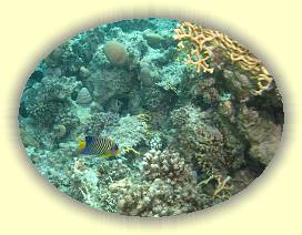 20100917_039 * 1930 x 1448 * (2.15MB)