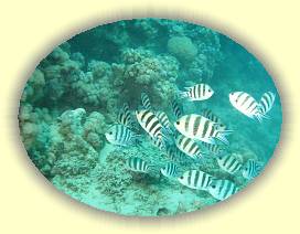 20100917_042 * 2540 x 1905 * (3.25MB)