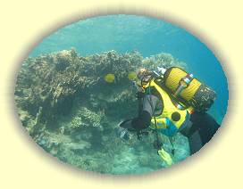 20100917_045 * 3072 x 2304 * (3.96MB)