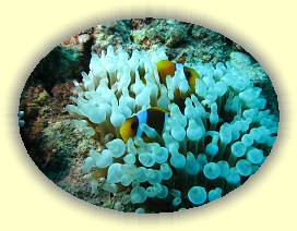 20100918_001 * 3072 x 2304 * (2.92MB)