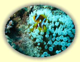 20100918_002 * 3072 x 2304 * (3.18MB)