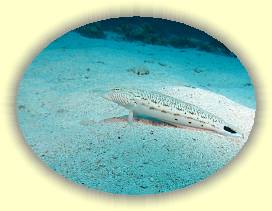 20100918_004 * 2068 x 1550 * (2.08MB)