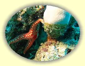 20100918_008 * 1678 x 1258 * (1.7MB)