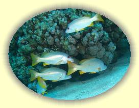 20100918_009 * 1860 x 1396 * (1.92MB)