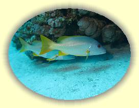 20100918_010 * 3072 x 2304 * (2.71MB)