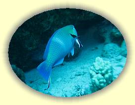 20100918_012 * 2566 x 1933 * (2.53MB)