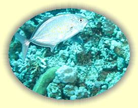 20100918_013 * 3072 x 2304 * (2.88MB)