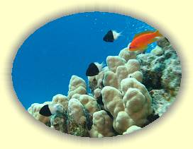 20100918_017 * 2614 x 1959 * (3.04MB)