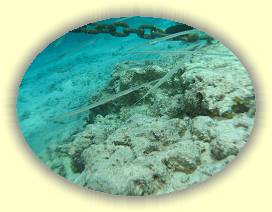 20100918_018 * 3072 x 2304 * (2.91MB)